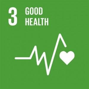 SDG info 3 unnamed 1 1