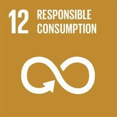 SDG info 12 unnamed 10