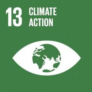 SDG info 13 unnamed 11