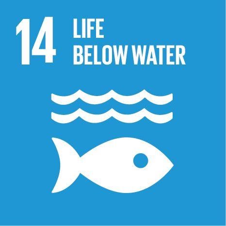 SDG info 14 unnamed 12