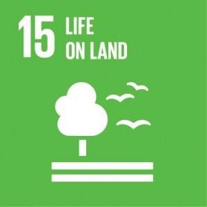 SDG info 15 unnamed 13