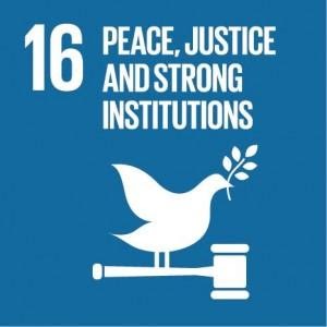 SDG info 16 unnamed 14