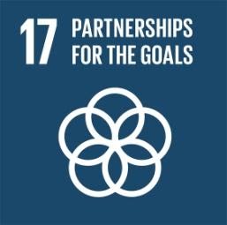 SDG info 17 unnamed 15
