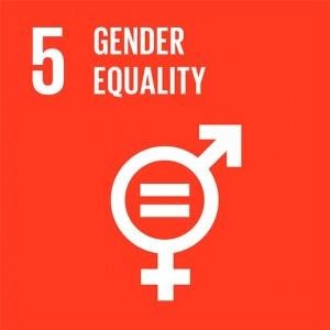 SDG info 5 unnamed 3 1