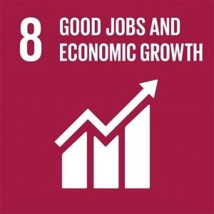 SDG info 8 unnamed 6 1