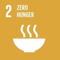 SDG info 2 unnamed 6