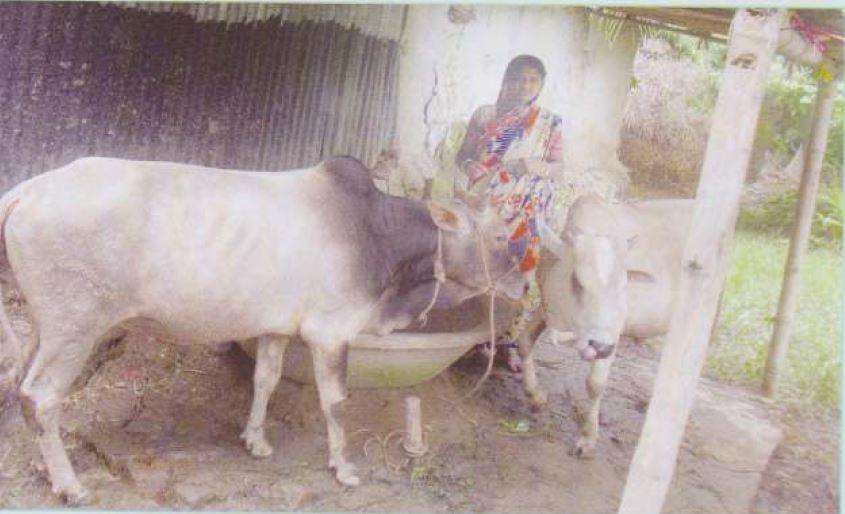 Livestock Unit 1 image1 12