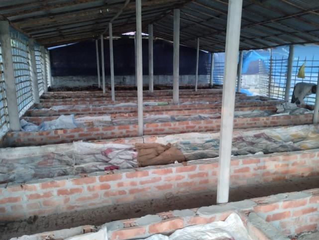 Vermi-compost Plant at akbarpur, patnitala, naogaon.
