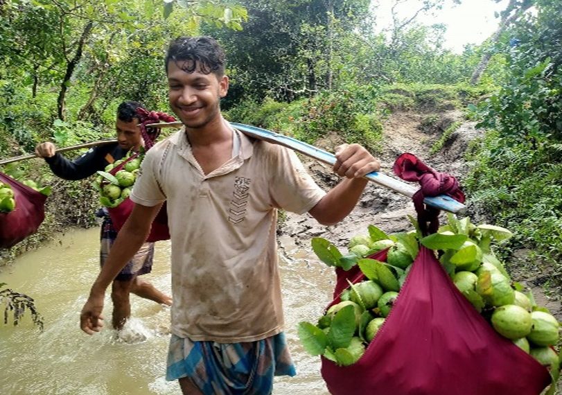 Environment-friendly Agriculture, Green Enterprise, and Livelihoods