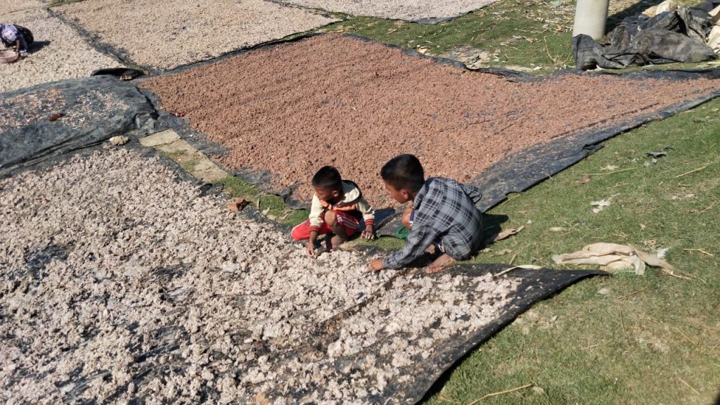 Ghashful Explores Market Potential of Traditional Rakhine Food “Sidol” in Chauphaldandi, Cox’s Bazar 2 Sidol production Cox
