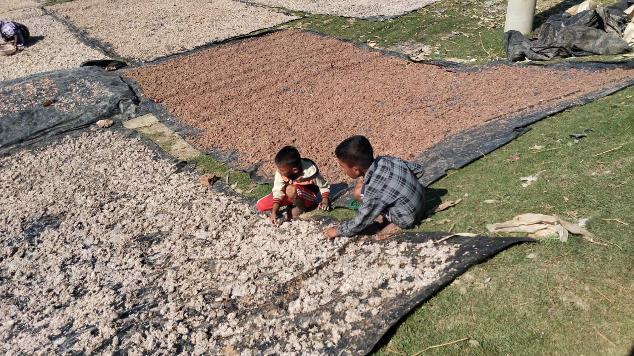 Home 20 Ghashful Explores Market Potential of Traditional Rakhine Food “Sidol” in Chauphaldandi, Cox’s Bazar