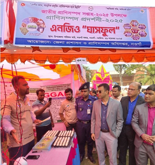 Home 25 Ghashful RMTP Project Showcased at the National Livestock Week Fair 2025 in Naogaon