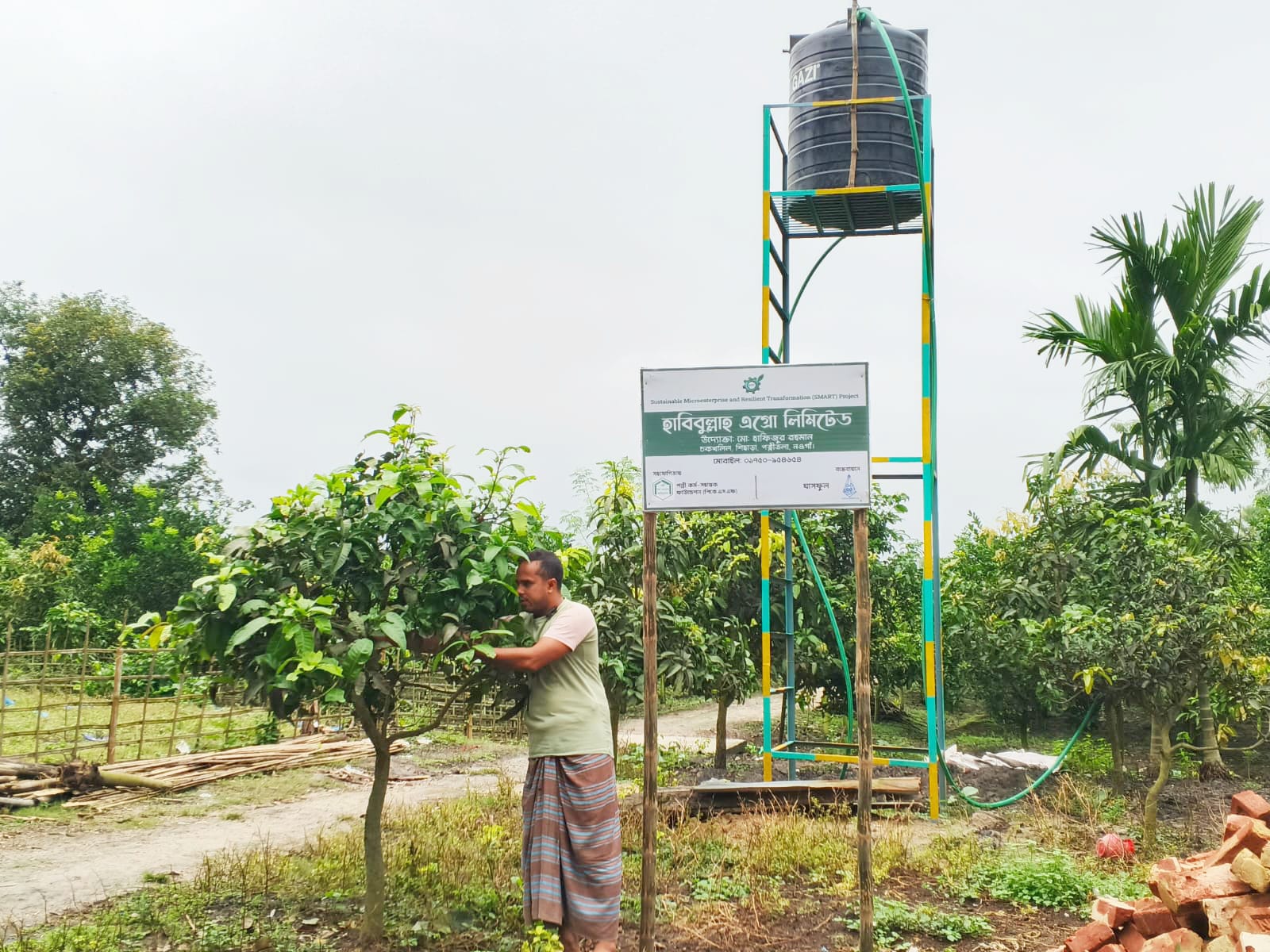 Ghashful’s SMART Fruits Project Opens New Horizons for Agriculture and Small Entrepreneurs in Naogaon