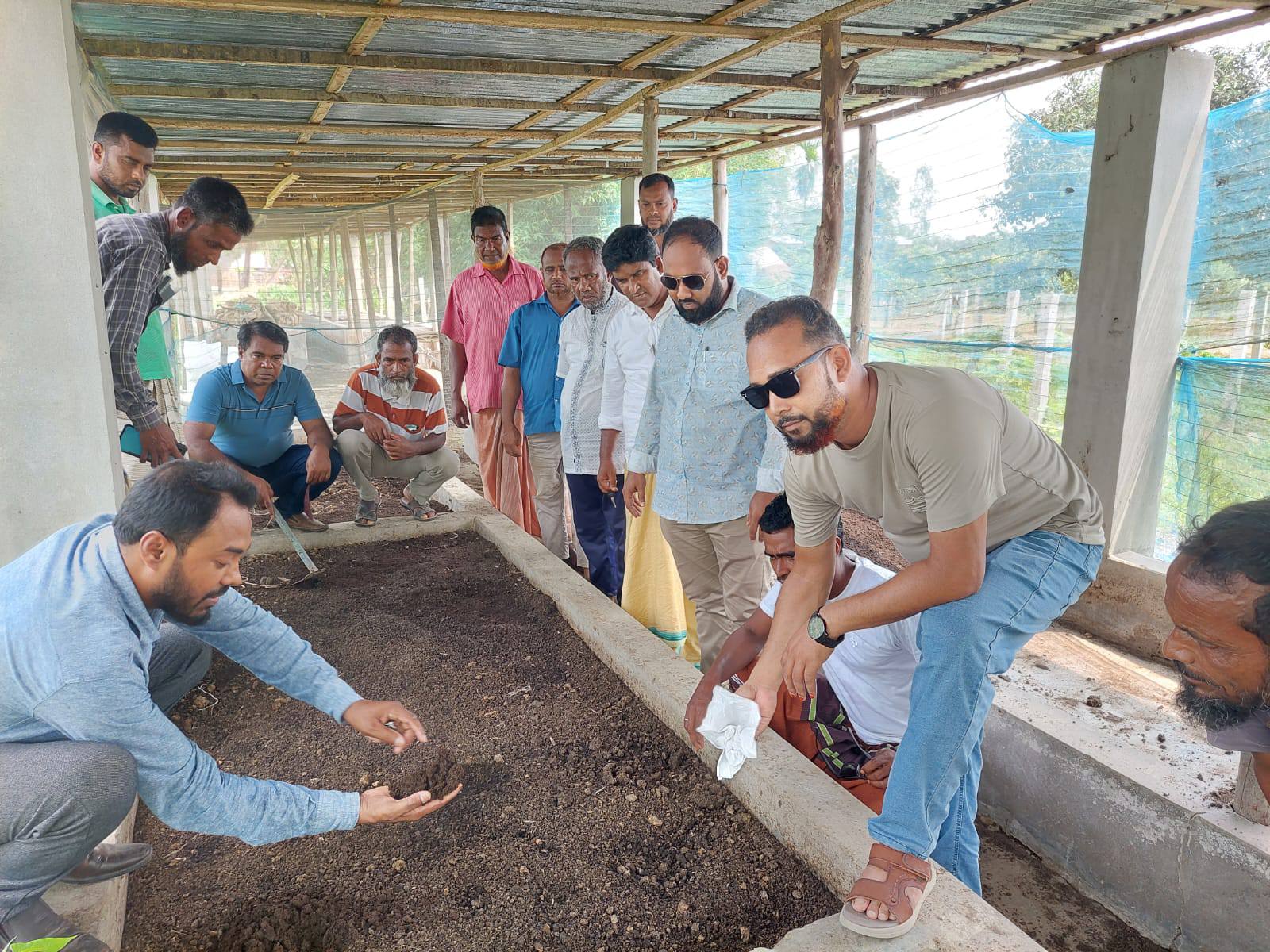 Transforming Agriculture in Naogaon: Ghashful Promotes Safe and Sustainable Fruit Cultivation